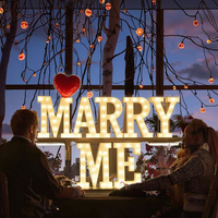 Décoration de mariage : Lettres lumineuses LED 3D « Marry Me » et « Love » de 4 pieds, conformes CE RoHS, alimentées par transformateur, grand format géant