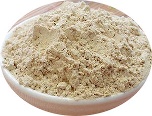 ที่มีคุณภาพสูง Notoโสมผง/ดิบ <span class=keywords><strong>Tienchi</strong></span> ผง - Product Image 6