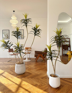 Nuevo diseño Planta verde artificial <span class=keywords><strong>Agave</strong></span> Tierra en maceta Gran decoración interior del hogar Planta Bonsai Decoración-149 - Product Image 5