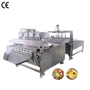 Máquina Industrial Totalmente Automática para Quitar el Núcleo de las Manzanas, Precio de la Máquina Descorazonadora de Manzanas - Product Image 3