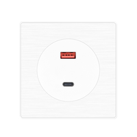 Prise murale USB et Type C à charge rapide, ignifuge, en PC brossé, 2 ports, double port, prise EU, 20W