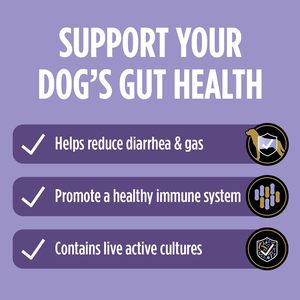 Envío Gratis, Suplementos Veterinarios <span class=keywords><strong>Purina</strong></span> <span class=keywords><strong>Pro</strong></span> <span class=keywords><strong>Plan</strong></span> FortiFlora, Probióticos Diarios para Perros, Ayuda a la Salud Digestiva Intestinal, Diarrea - Product Image 4