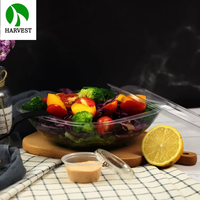Conteneur carré pour salade et gâteau en PET recyclable transparent, durable, 750 ml, personnalisable, contenants à emporter pour la restauration rapide, boîtes à repas pour hamburgers