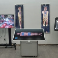 Sistema Interactivo de Anatomía Virtual Digihuman, Metal y Vidrio para Educación en Patología e Anatomía Interna, Visualización de Anatomía en 3D