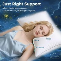 Oreillers rigides pour le cou, taille Queen, lot de 2, pour dormeurs sur le côté/dos/ventre, garnissage alternatif au duvet certifié Oeko-Tex, oreiller de qualité hôtelière
