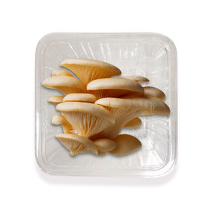 High-Quality Plastic Packaging Tray <b>for</b> Fresh Mushrooms Durable Plastic, Cost-Effective Wholesale Supply - Product Image 3