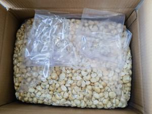 <span class=keywords><strong>Noix</strong></span> <span class=keywords><strong>de</strong></span> <span class=keywords><strong>macadamia</strong></span> entières <span class=keywords><strong>de</strong></span> qualité supérieure, décortiquées, pour en-cas et confiserie |   Vente en gros |   <span class=keywords><strong>Prix</strong></span> d'usine - Product Image 6