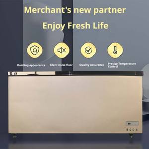 Congélateur coffre domestique à température unique - Réfrigération pour aliments surgelés et viande, 1 porte supérieure - Product Image 2