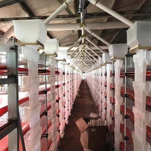 Çiftlik bıldırcın kafesi için 6 kat otomatik bıldırcın kafesi - Product Image 2