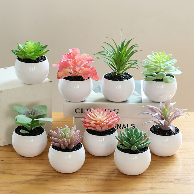 Mini Artificial Succulent Cactus Plants in Small Pots Ornaments for Office Decor on New Year Easter and Halloween