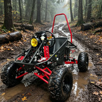 Quad utilitaire électrique 2kW 90km/h 60V 50Ah pour location commerciale, retour sur investissement élevé, approvisionnement direct usine, personnalisation