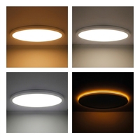 Panel de Luz LED Ovalado de 32 Pulgadas para Techo, con Atenuación Triac, Construcción Moderna de Hierro y Acrílico, Certificado ETL, 38W, para Uso Doméstico y Comercial