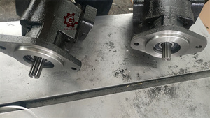 ปั๊มไฮดรอลิกเกียร์ Lainuo PGP PGM PGP300 PGP315 PGP330 PGP350 PGP365 PGM315 PGM350 PGM365 รุ่น 3249111030 PGP330A197FJAB12-98 - Product Image 5