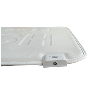 Dispositivo de terapia magnética PEMF de alta frecuencia, fabricante chino, instrumento veterinario para huesos más fuertes, dolor articular de animales - Product Image 5