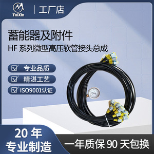 Taixin Hydraulics HF Series <b>Miniature</b> High Pressure Hose Connector Assembly Steel Fitting 7250psi Hydraulic Tools Accessories - Product Image 3