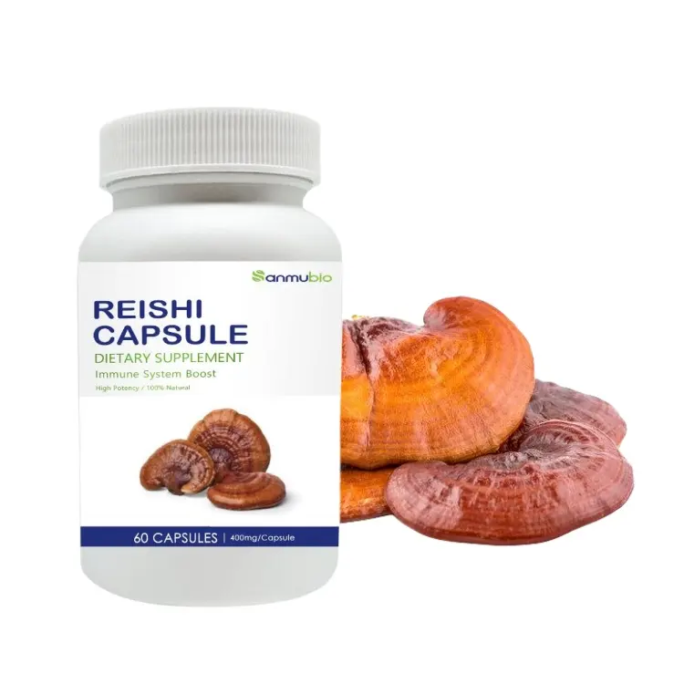 White Label Lingzhi Capsule for Immune Support Reishi Spore Extract Capsule