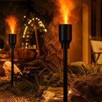 Lampe à motif de chouette forestière, flamme verte, brasero, feu vert, paysage, steppe, feu de camp, lampe à motif de torche de fête, flammes