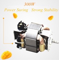 300W Krachtige Motor Smoothie Blender Juicer Mixer Elektrische 600Ml Draagbare Blender Huishoudelijke Fruitpers