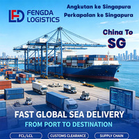 Expédition maritime DDP, livraison porte-à-porte au port de Singapour, entreposage à Singapour, garantie de départ ponctuel