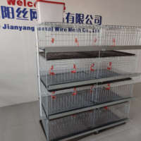 Nouvelle cage à poussins galvanisée à 4 niveaux et 2 portes, capacité 60-72 oiseaux, avec système d'abreuvement automatique pour ferme aux Philippines