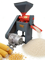 Machine à décortiquer et à polir le riz automatique compacte 500-600 kg/h pour usage agricole et domestique