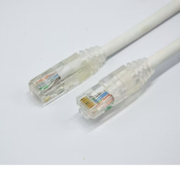 Kabel Ethernet Ultra Slim Cat6A FTP UTP 28AWG Tembaga Outdoor 100m PVC CCC Brothers-Y