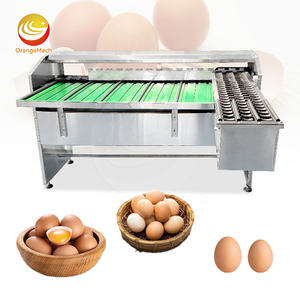 Trieuse mécanique d'œufs ORME, petite machine de triage et de calibrage des œufs de poule - Product Image 1