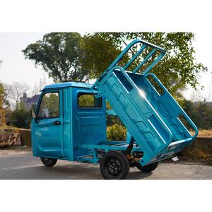 Tricycle de Livraison <span class=keywords><strong>Électrique</strong></span> Fermé Tout Temps 2000W 3000W avec Certifications EEC COC CE DOT pour Transport de Cargaison Lourde - Product Image 4