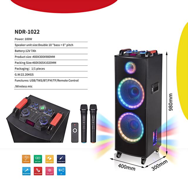 NDR-1022 Dual 10" High Power Party Karaoke DJ Speaker RGB LED Lighting 60W AC Battery Wireless Mic Stage Computer Audio Players