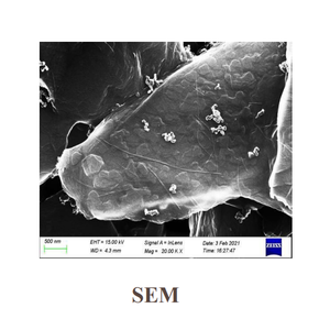 Vgcf carbon sợi nano 18650 điện cực pin Lithium Ion nguyên liệu - Product Image 5