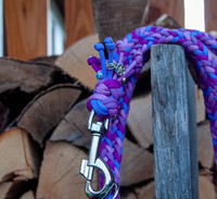 Laisse pour chien en paracorde tressée, couleur violette, avec logo personnalisé, en nylon durable, pour animaleries et salons de toilettage