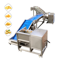 Apparatuur voor de verwerking van verse aardappelchips, semi-automatische aardappelchips-friteuse, productielijn voor gefrituurde aardappelchips