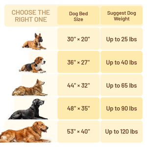 Entrega rápida, envío gratis, tela resistente a los arañazos, certificado OEKO, sofá para mascotas, cama ortopédica de espuma viscoelástica para perros - Product Image 6