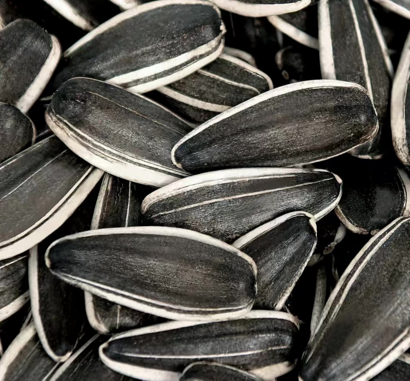 2025 New Crop Sunflower Seeds 361