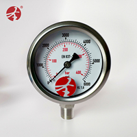 SHY Hydraulic Analog Pressure Gauge 0-400 Bar Stainless Steel Material Model SHY-YLB-60 1 Year Warranty OEM Customizable Made