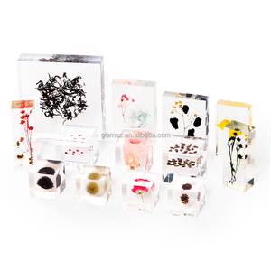 Réel Plante Presse-papiers taxidermie Éducatif Résine Modèle Biologique d'Insecte Bug Beetle Spécimen Aide Pédagogique Fourniture - Product Image 1