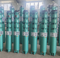 8 10 12 pouces 25hp 30hp 40hp 50hp 100 hp Pompes électriques pour puits profonds
