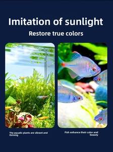 Lampes LED modernes à spectre complet en plastique pour aquariums plantés, usage sur bureau, 6W, prise USB, pour aquariums – Vente en gros usine JSD - Product Image 3