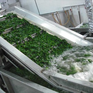 Compre a granel Exportación Precios de mercado Verduras Bloque entero Bola de espinacas congeladas - Product Image 5
