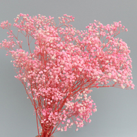Fleurs séchées de gypsophile (Babysbreath) naturelles, préservées, très demandées, pour la décoration de mariages et de la maison