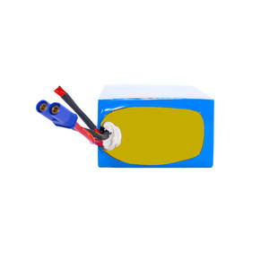 OEM disesuaikan 260mah 300mah 320mah 350mah 2500mah Molicell Lithium Ion18650 21700 32700 10400 sel baterai Lithium Kelas A - Product Image 4