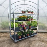 Chariot de transport d'outils de jardinage danois remorquable avec étagères en contreplaqué, antirouille, pour ferme florale et pépinière
