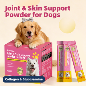 犬用OEM/ODM関節・皮膚サポートパウダー |   コラーゲン＆グルコサミンペットサプリメント - Product Image 2