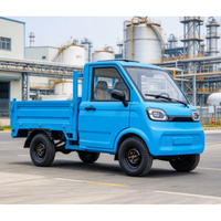 Pick-up électrique 3500W, homologué EEC COC L6e, véhicule utilitaire électrique neuf, entrepôt Roumanie, véhicule à énergie nouvelle, hydraulique