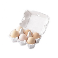 Cartons à œufs en papier pour poulets, plateau de luxe, moule d'emballage utilisé, 6 moules, cartons à œufs biodégradables