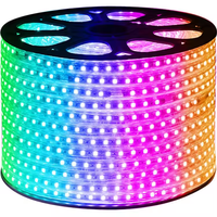 Bande lumineuse LED intelligente Tuya App Control 220V 12mm IP67 en cuivre pour aménagement paysager, 96 LED/m RGB Epistar 20W, dimmable