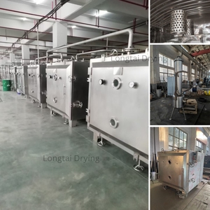 Secador al Vacío Cuadrado, Estático, Industrial, de Baja Temperatura, para Leche en Polvo, Jugo, Gránulos, Proteínas, Aditivos Alimentarios FZG-20 - Product Image 4