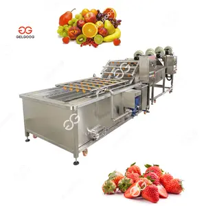 Industrial Multifunctional Vegetable Cleaner Fruit Bubble Washing Machine Frozen Fruit Washing Line