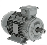 Générateur Alternateur Électrique Triphasé WEG W21/W22 4HP 5.5HP 7.5HP 10HP 12.5HP 15HP 20HP 25HP 220V 400V 690V Moteur AC