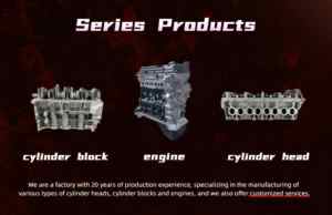 पैकसन हॉट बिक्री नई स्थिति <span class=keywords><strong>3</strong></span> सिलेंडर 6v f8c f8cv खाली सिलेंडर सिर के लिए ग्राम - Product Image 3